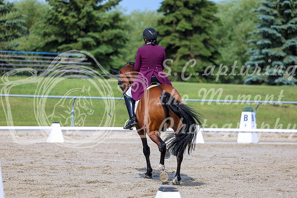 2025 - Dressage Festival - Saturday July 5th - 03212