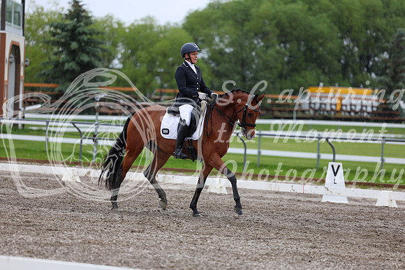 2025 - Dressage Festival - Sunday July 6th - 06516