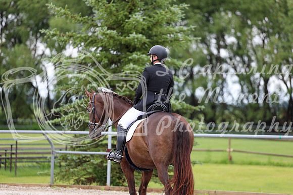 2025 - Dressage Festival - Sunday July 6th - 09568
