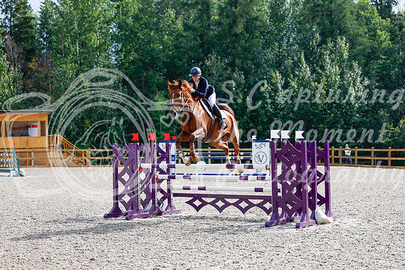 2025 - Haylee - Picco Horse Show - Saturday July 26th 08475