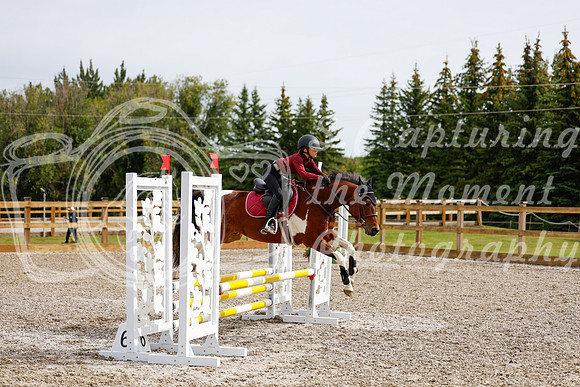 2025 - Haylee - Picco Horse Show - Friay July 25th 00872