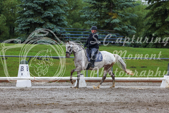 2025 - Dressage Festival - Sunday July 6th - 02170
