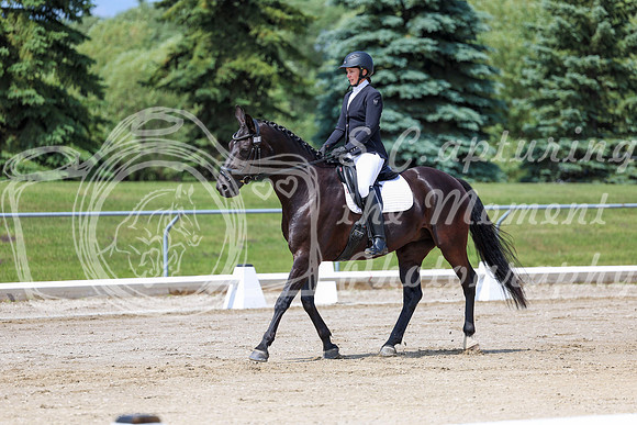 2025 - Dressage Festival - Saturday July 5th - 06976