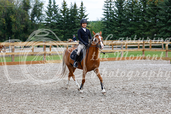 2025 - Haylee - Picco Horse Show - Saturday July 26th 02300