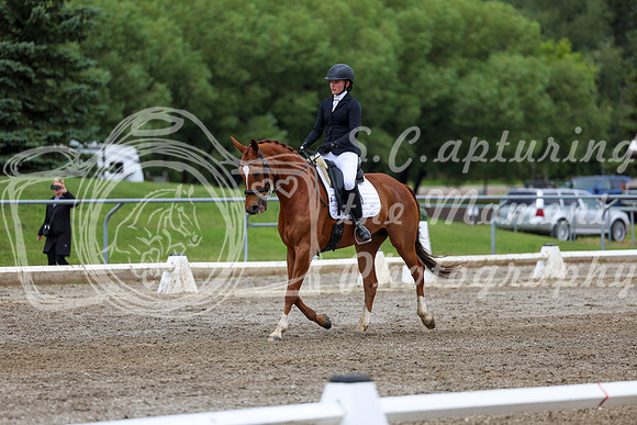 2025 - Dressage Festival - Sunday July 6th - 12261