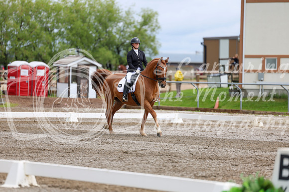 2025 - Dressage Festival - Sunday July 6th - 11078