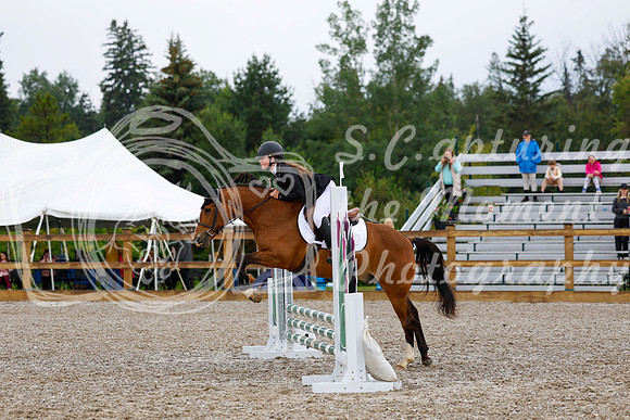 2025 - Haylee - Picco Horse Show - Sunday July 27th 00523