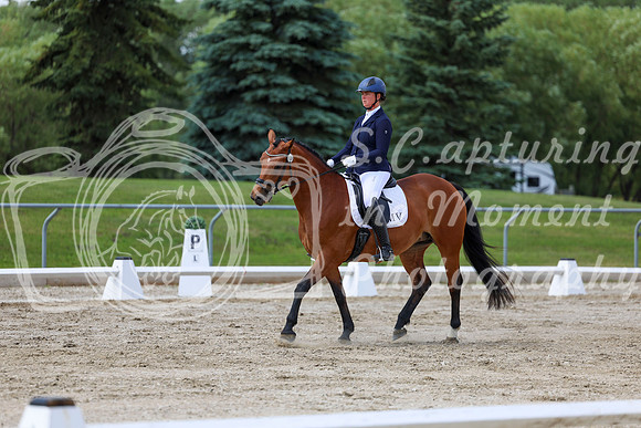 2025 - Dressage Festival - Saturday July 5th - 10471