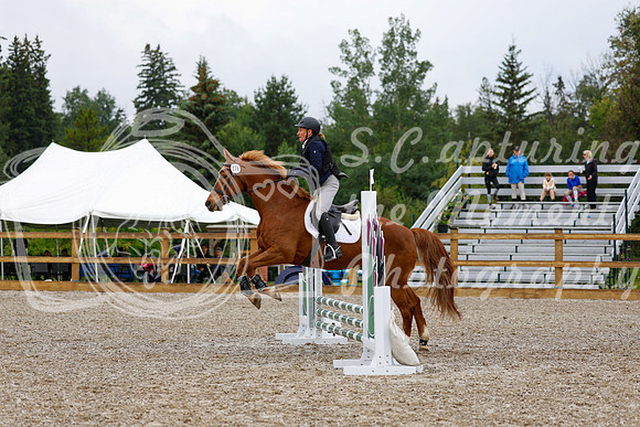 2025 - Haylee - Picco Horse Show - Sunday July 27th 00778