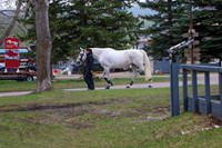 2025 - Shea - Bow Valley II - Friday May 16th - 00008