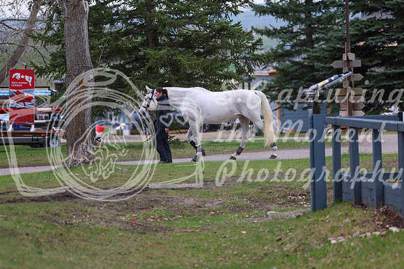 2025 - Shea - Bow Valley II - Friday May 16th - 00008