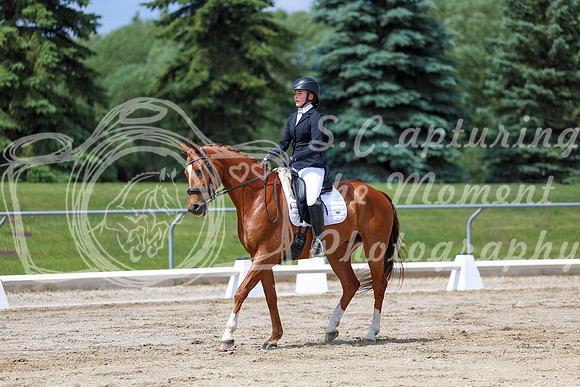 2025 - Dressage Festival - Saturday July 5th - 07844