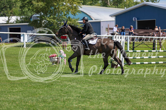 2025 - Shea - Teesdale - Thursday July 24th - 01354