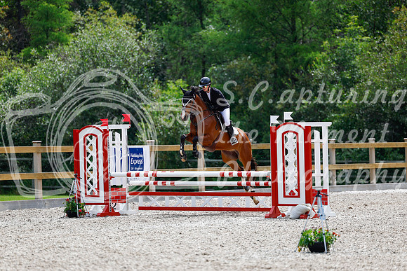 2025 - Haylee - Picco Horse Show - Sunday July 27th 03944