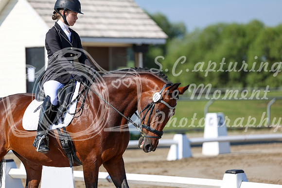 2025 - Dressage Festival - Saturday July 5th - 01247