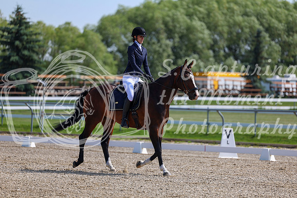 2025 - Dressage Festival - Saturday July 5th - 03565