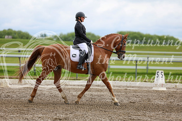 2025 - Dressage Festival - Sunday July 6th - 11095