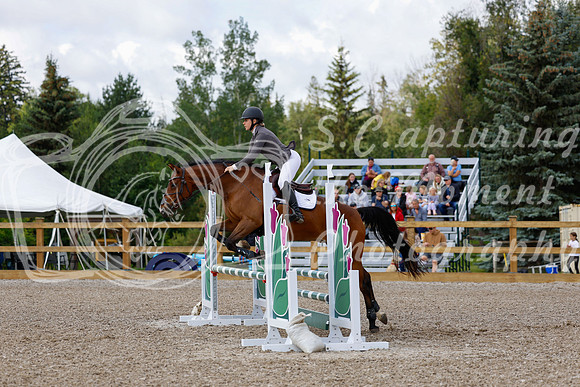 2025 - Haylee - Picco Horse Show - Sunday July 27th 02578