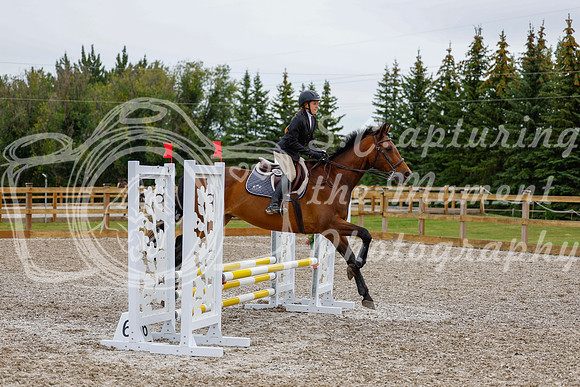 2025 - Haylee - Picco Horse Show - Friay July 25th 01206