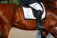 2025 - Dressage Festival - Saturday July 5th - 00970