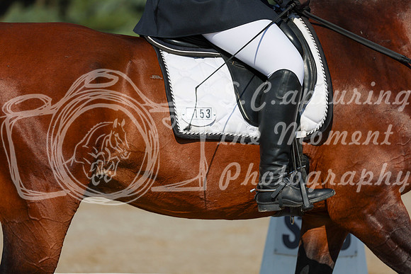 2025 - Dressage Festival - Saturday July 5th - 00970