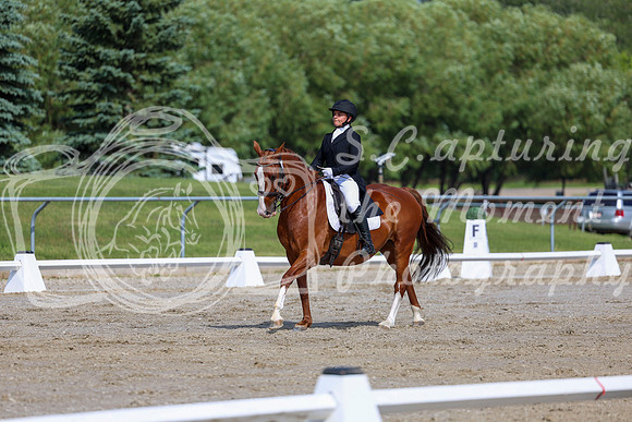 2025 - Dressage Festival - Saturday July 5th - 02603