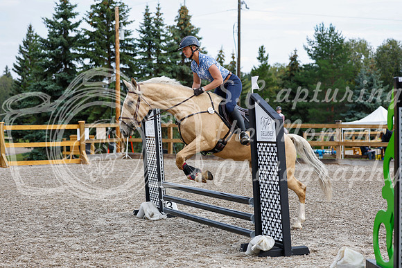2025 - Haylee - Picco Horse Show - Saturday July 26th 00314