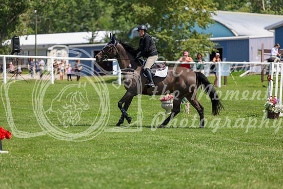 2025 - Shea - Teesdale - Thursday July 24th - 01357