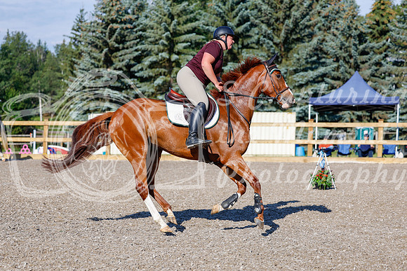 2025 - Haylee - Picco Horse Show - Thursday July 24th 00248
