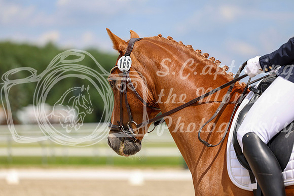 2025 - Dressage Festival - Saturday July 5th - 12440