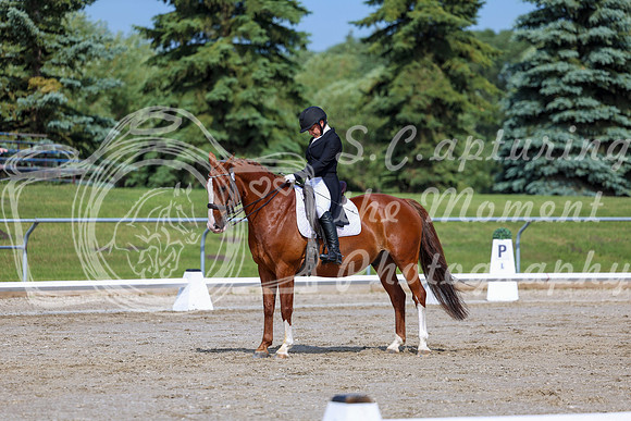 2025 - Dressage Festival - Saturday July 5th - 02610