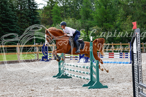 2025 - Haylee - Picco Horse Show - Friay July 25th 00923