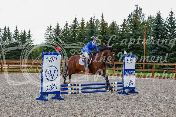 2025 - Haylee - Picco Horse Show - Sunday July 27th 00356