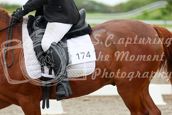 2025 - Dressage Festival - Sunday July 6th - 06085