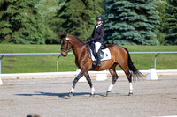 2025 - Dressage Festival - Saturday July 5th - 00422