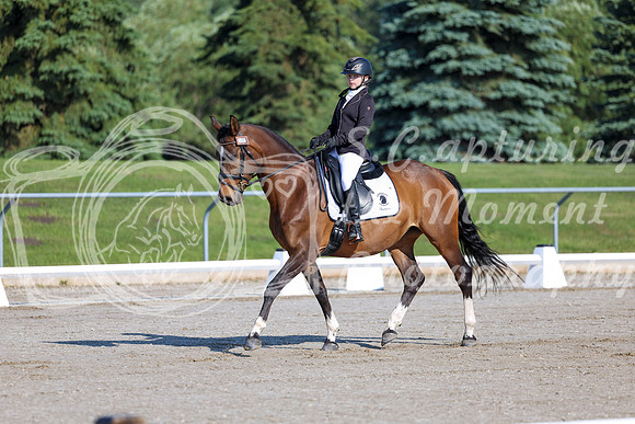 2025 - Dressage Festival - Saturday July 5th - 00422