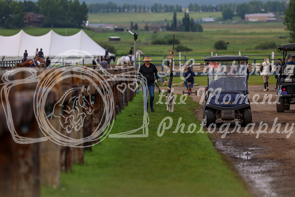 2025 - Shea - Rocky Mountain Classic II - Wednesday August 13th - 00098