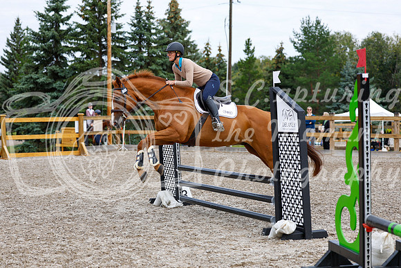 2025 - Haylee - Picco Horse Show - Saturday July 26th 01610