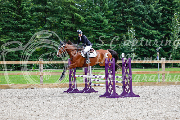 2025 - Haylee - Picco Horse Show - Sunday July 27th 03894