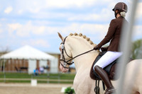 2025 - Dressage Festival - Saturday July 5th - 12073