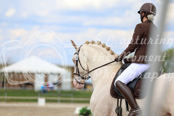 2025 - Dressage Festival - Saturday July 5th - 12073