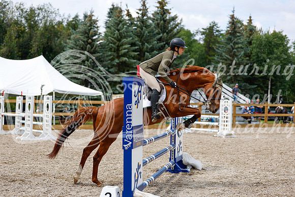 2025 - Haylee - Picco Horse Show - Saturday July 26th 06101