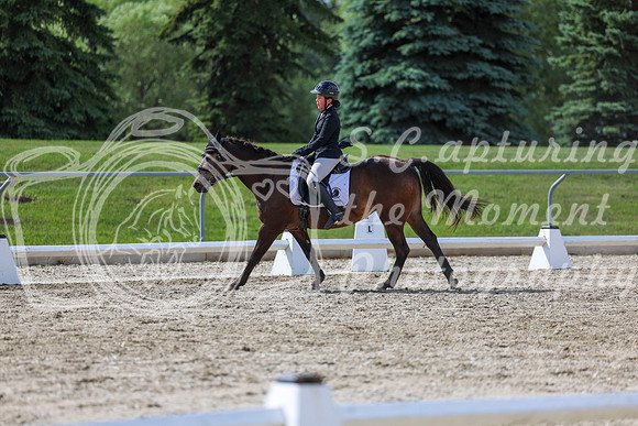2025 - Dressage Festival - Saturday July 5th - 15536