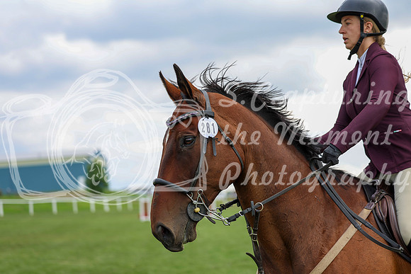 2025 - Shea - Teesdale - Friday July 25th - 07284