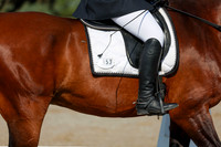 2025 - Dressage Festival - Saturday July 5th - 00968