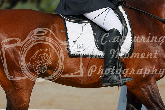 2025 - Dressage Festival - Saturday July 5th - 00968