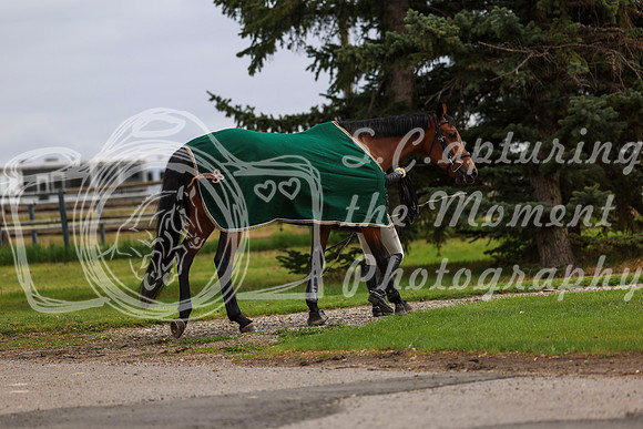 2025 - Shea - Bow Valley II - Friday May 16th - 00745