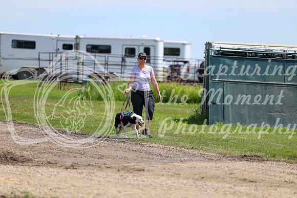 2025 - Shea - Teesdale - Thursday July 24th - 02145