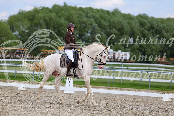 2025 - Dressage Festival - Saturday July 5th - 12087