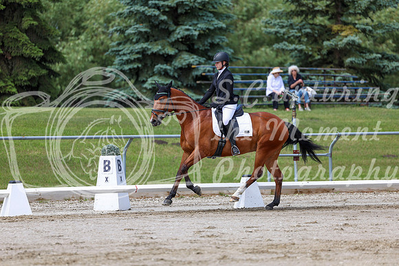 2025 - Dressage Festival - Saturday July 5th - 07377